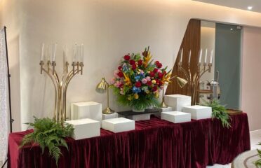 Prima Rentals Party Needs & Events