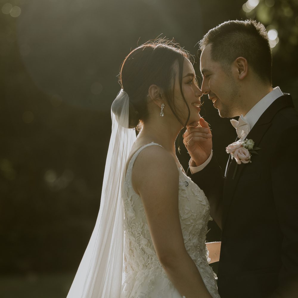 Bliss Unlimited (16)