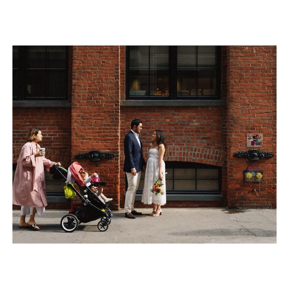 Rainbowfish Photography (1)