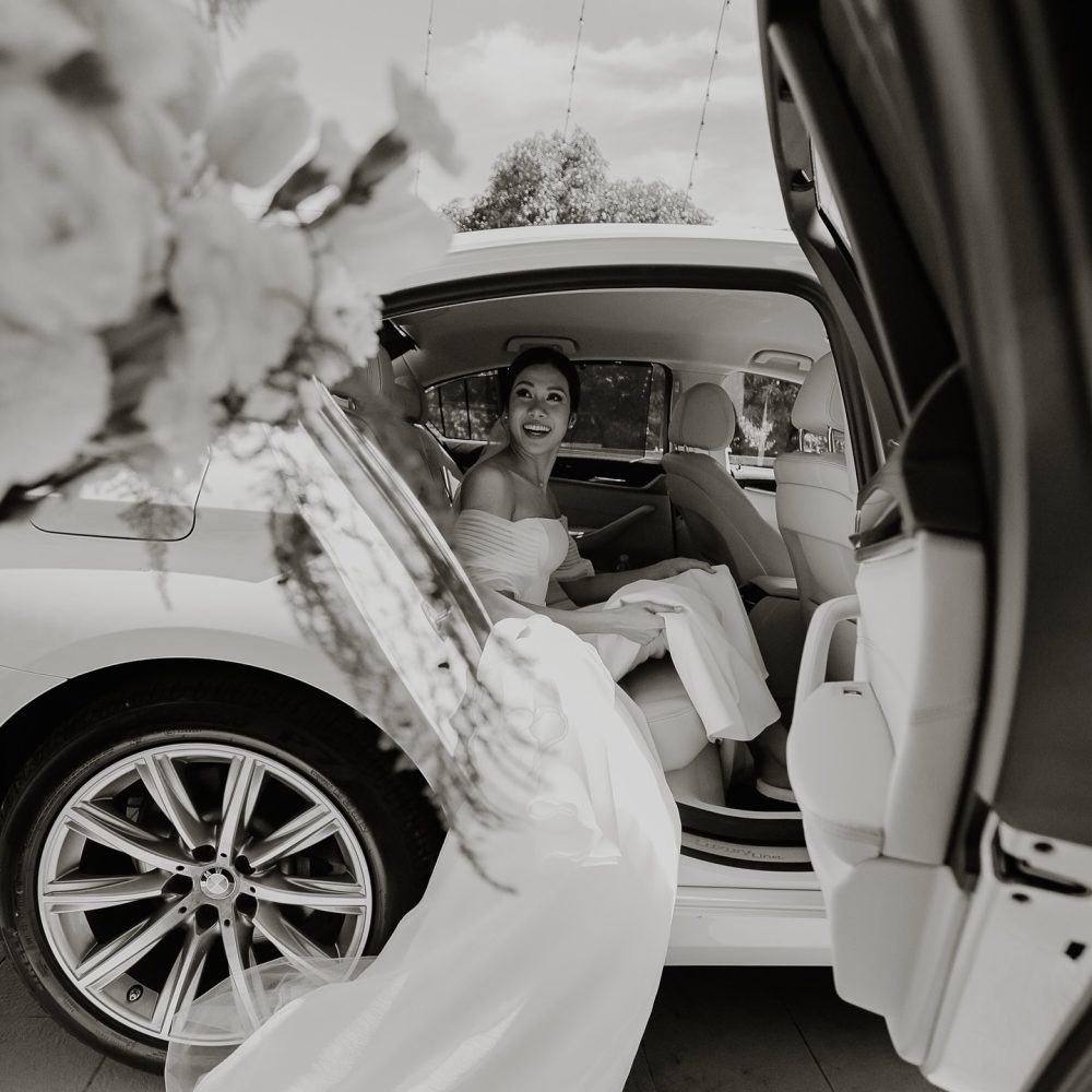 Rainbowfish Photography (7)