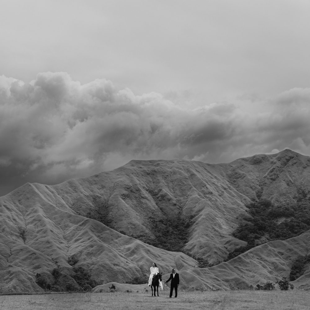 Team Panda Films (4)